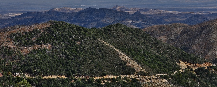 desert scenery